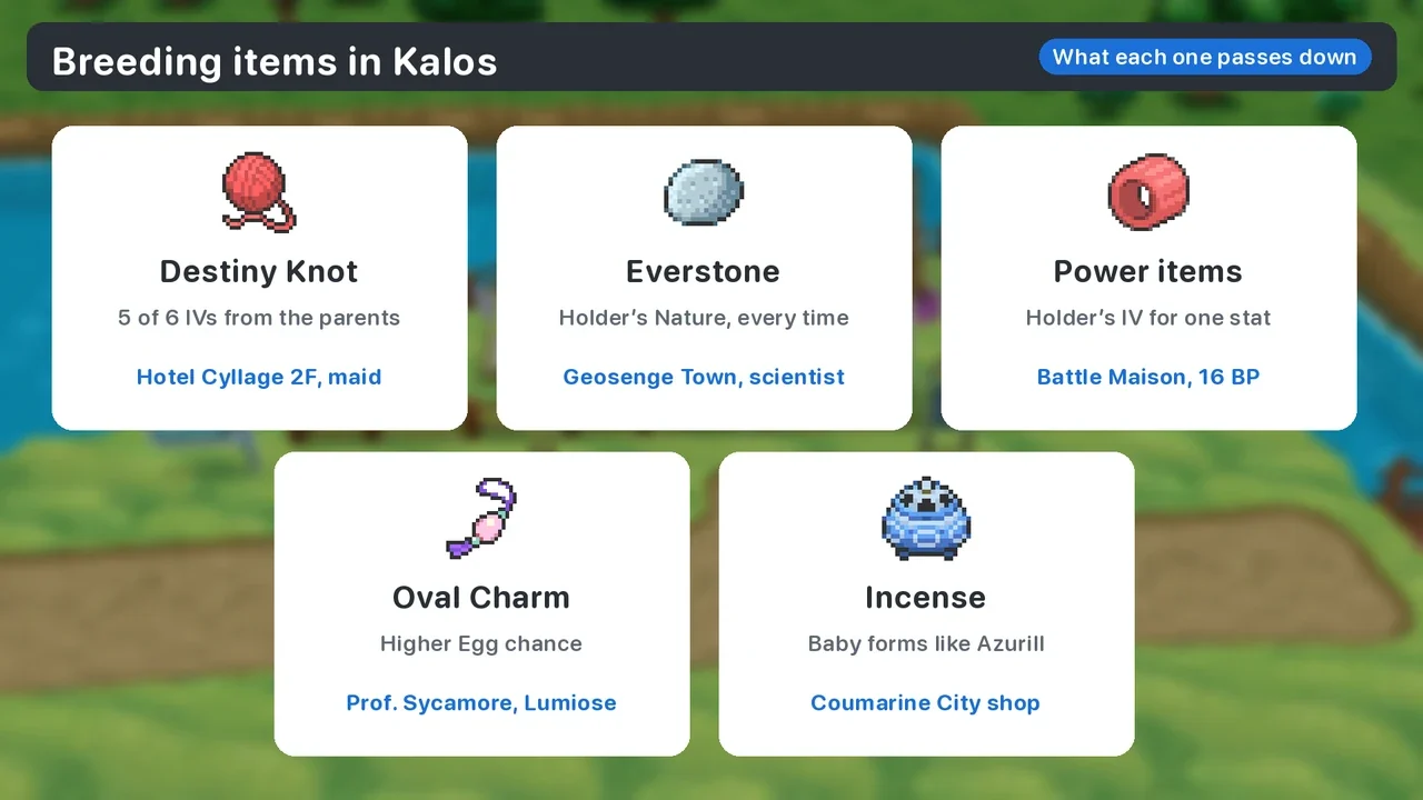 Breeding items in Pokémon X and Y: Destiny Knot from Hotel Cyllage, Everstone from Geosenge Town, Power items from the Battle Maison, Oval Charm from Professor Sycamore and incense from Coumarine City