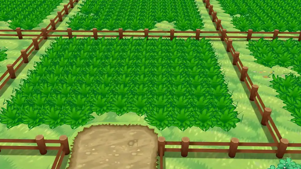 Tall grass and fenced paths inside the Friend Safari in Pokémon X and Y