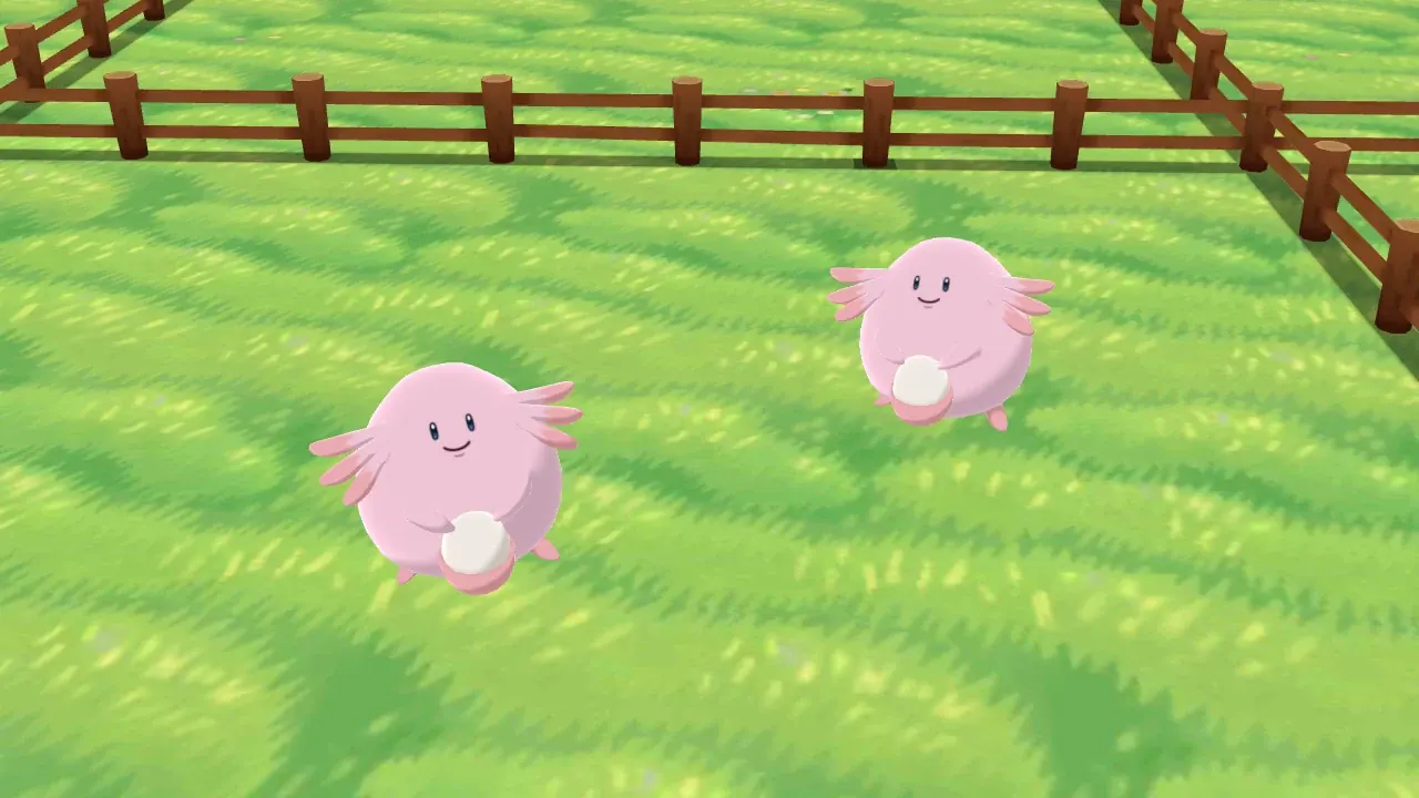 Illustration of two Chansey on the Friend Safari grass in Pokémon X