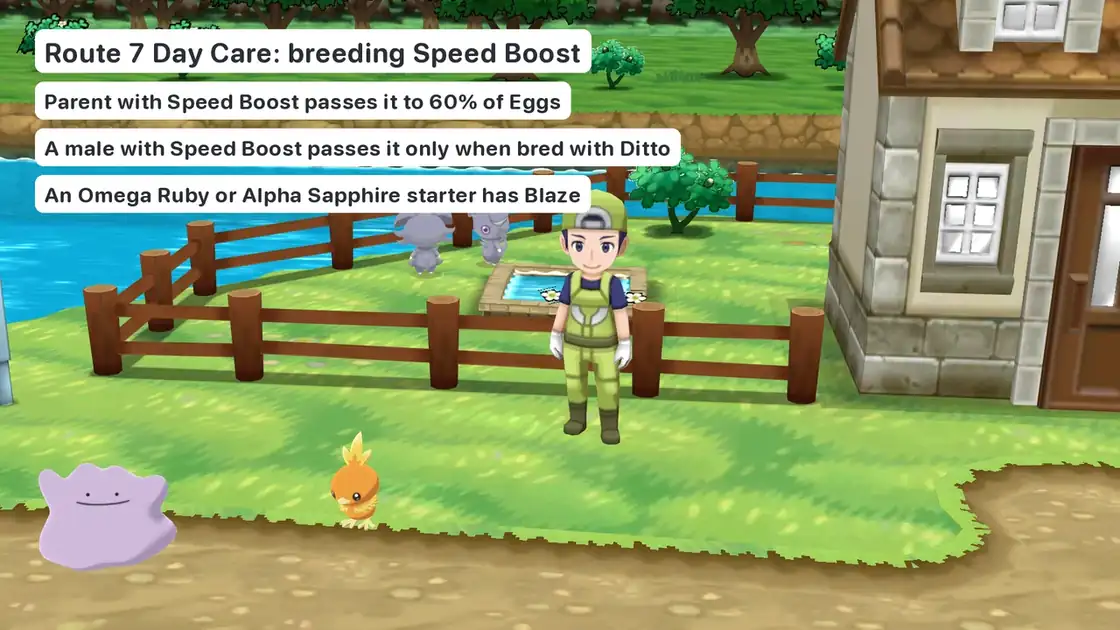 Breeding diagram (illustration) for Speed Boost Torchic in Pokémon X and Y: a Hidden Ability mother, or a Hidden Ability father with Ditto, at the Route 7 Day Care