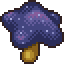 Dusk Star