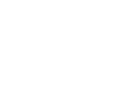 Handgun Government